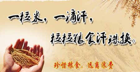 俭仆食粮否决华侈名言句子
