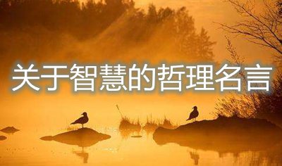 对聪明的哲理名言