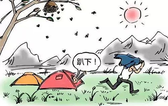 为甚么蜜蜂蛰过人后会死