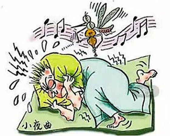 为甚么蚊子老是在耳边嗡嗡叫