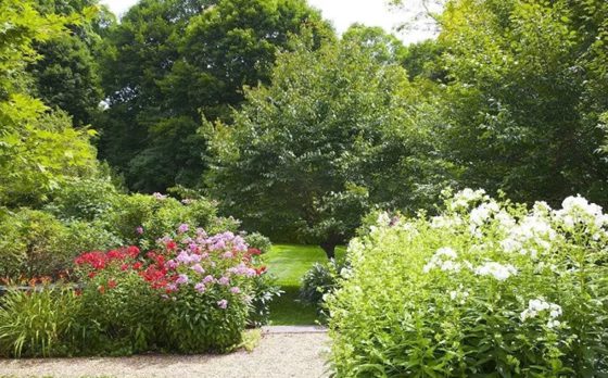 动物为甚么恶马恶人骑