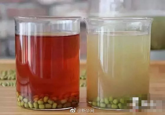 为甚么绿豆不能做豆乳,绿豆做不成豆乳的缘由