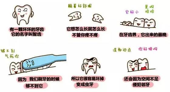 报酬甚么会长智齿,智齿必然要拔吗