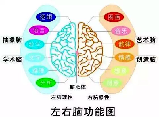 为甚么大大都人用右手写字,为甚么本国人用左手写字的多