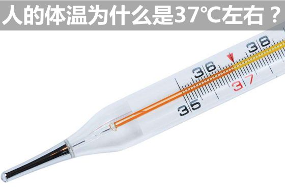 人的体温为甚么是37℃摆布