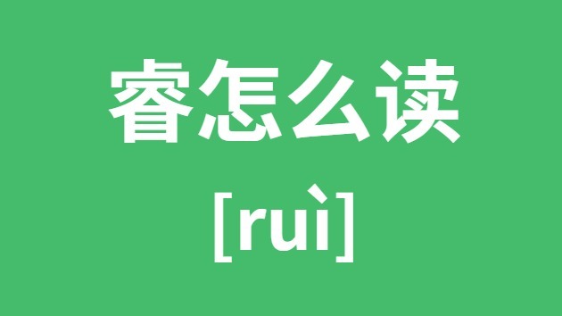睿怎样读