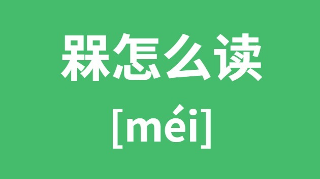 槑怎样读