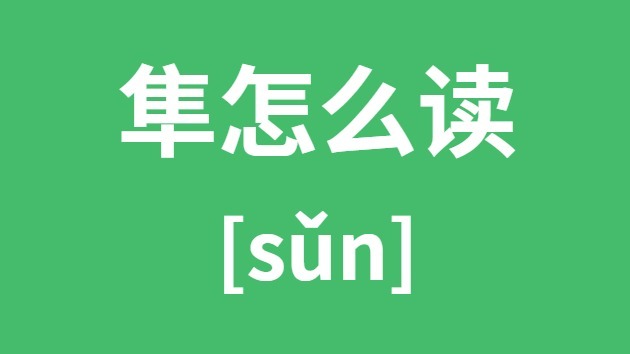 隼怎样读