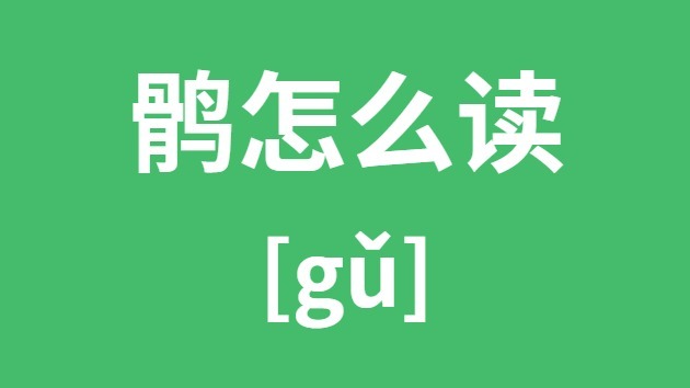 鹘怎样读