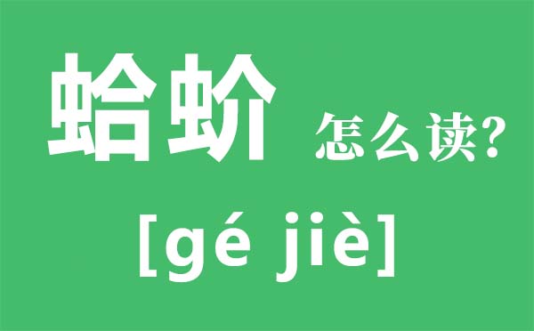 蛤蚧读音是甚么,蛤蚧是甚么,蛤蚧的功能与感化
