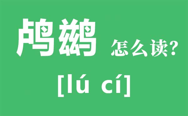 鸬鹚怎样读,鸬鹚网鱼为甚么不吃,鸬鹚几多钱一只