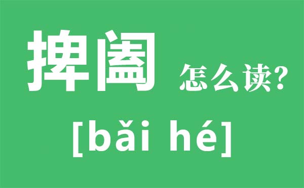 捭阖怎样读拼音是甚么,捭阖是甚么意义,纵横捭阖的的意义是甚么