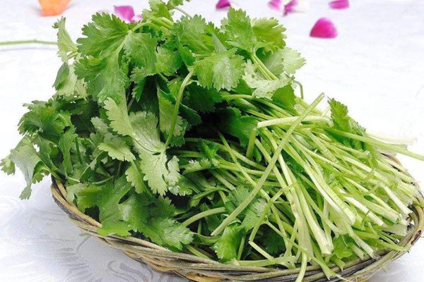 芫荽怎样读拼音是甚么,,芫荽是甚么,芫荽的功能