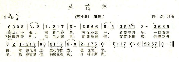 为甚么洒水车一向播放兰花草这首歌
