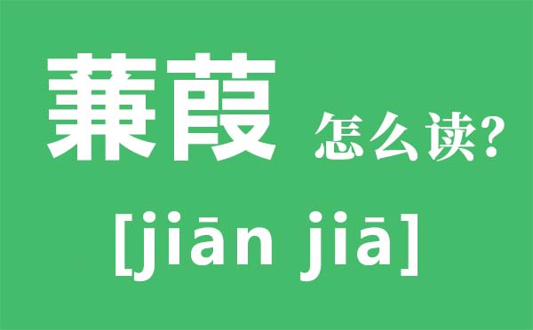 蒹葭怎样读全文拼音,蒹葭的意义是甚么,蒹葭原文翻译及赏析 