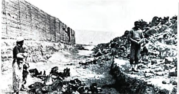 海原地动