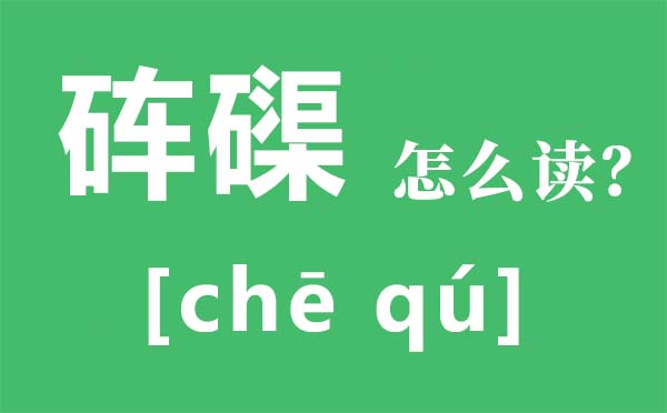 砗磲怎样读拼音是甚么,砗磲是甚么,砗磲的功能与感化