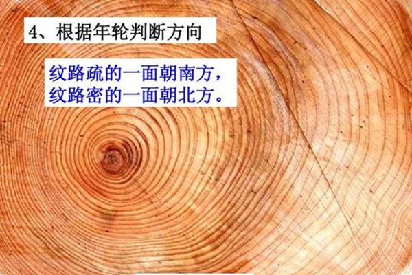 指南针为甚么不叫指北针,大天然的指南针有哪些