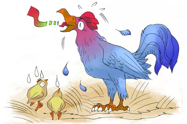 公鸡为甚么打鸣,如何让公鸡不打鸣