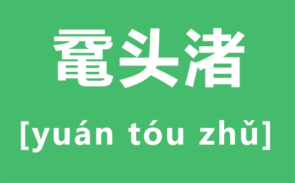 鼋头渚怎样读拼音是甚么,无锡鼋头渚是甚么处所