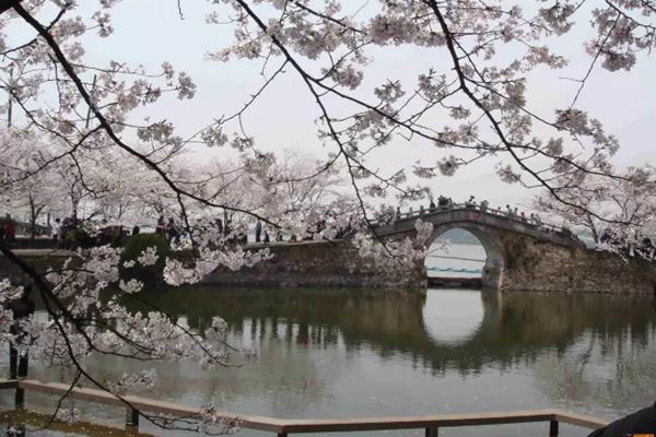 鼋头渚怎样读拼音是甚么,无锡鼋头渚是甚么处所