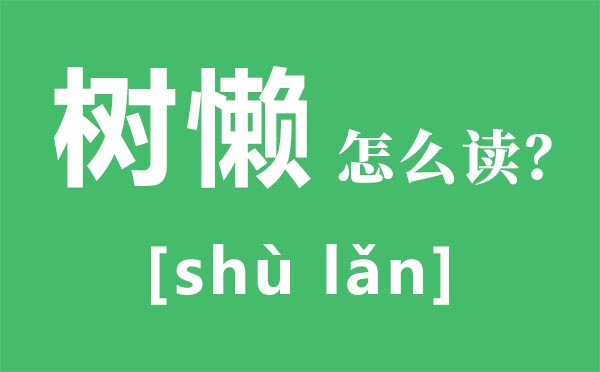 树懒怎样读,树懒和考拉的区分,树懒为甚么这么慢