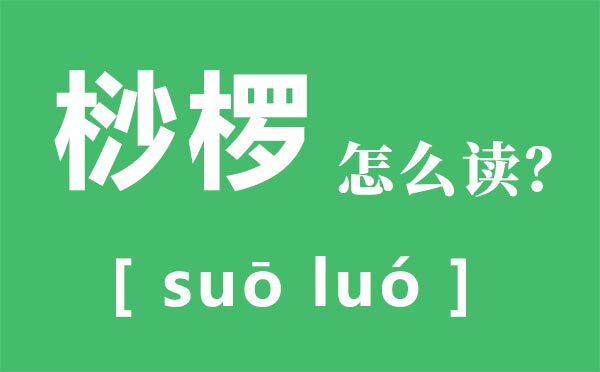 桫椤怎样读拼音是甚么,桫椤是甚么动物,桫椤树先容
