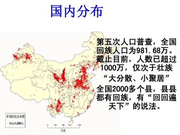 回族为甚么不吃猪肉,回族人不吃猪肉的真正缘由