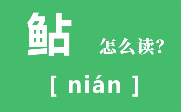 鲇怎样读,鲇的读音,鲇是甚么意义
