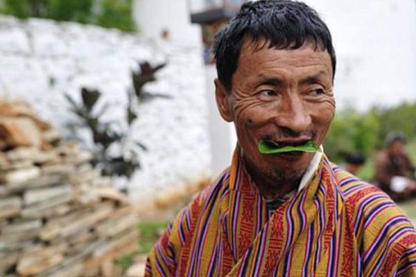 嚼槟榔为甚么会上瘾,嚼槟榔上瘾的缘由