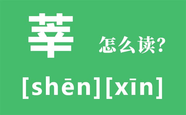 莘怎样读,莘的读音,莘莘学子是甚么意义