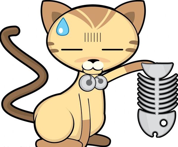 为甚么猫喜好吃鱼,猫爱吃鱼是甚么缘由
