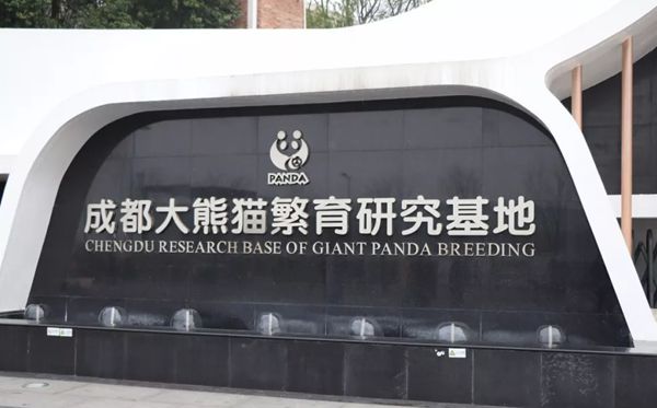大熊猫为甚么被视为中国的国宝