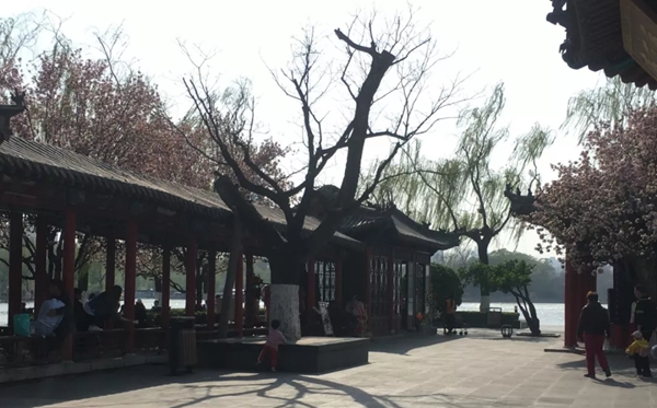 大明湖的明为甚么多一横,大明湖的眀多一横的缘由