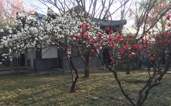 大明湖的明为甚么多一横,大明湖的眀多一横的缘由