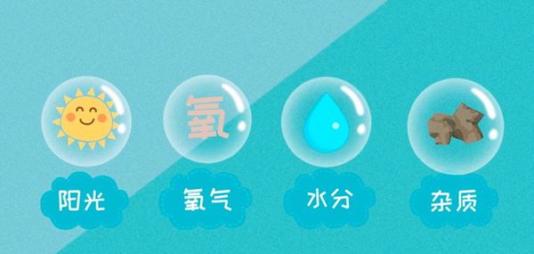 为甚么白鞋洗完会变黄,白鞋洗完变黄的缘由