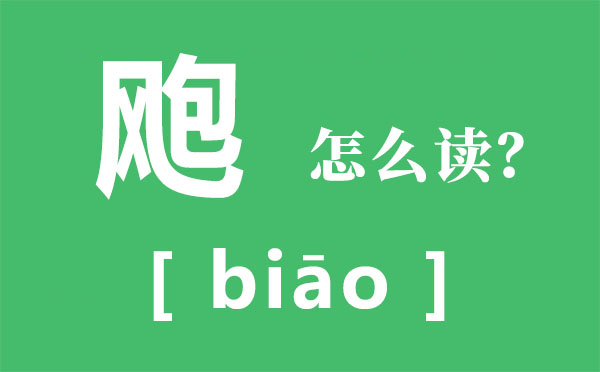 飑怎样读,雪飑的读音