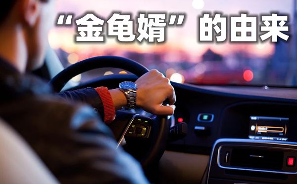 为甚么崇高的半子要叫金龟婿,金龟婿的意义,金龟婿的来源