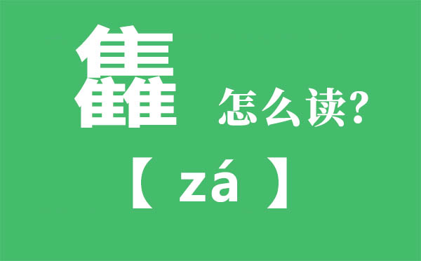 雥怎样读,三个隹念甚么,雥的拼音,雥字是甚么意义