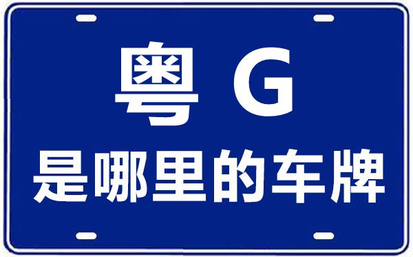 粤G是那里的车商标,湛江的车商标是粤甚么