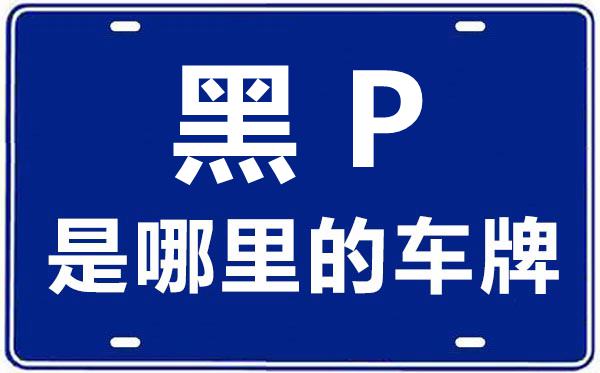 黑P是那里的车商标,大兴安岭的车商标是黑甚么