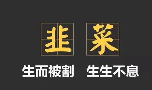 割韭菜是甚么意义,股市的割韭菜是若何回事