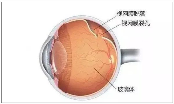 蚂蚁庄园小讲堂明天的谜底是甚么