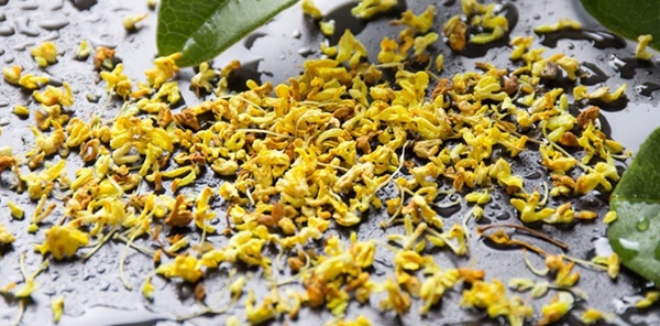 木樨的花语