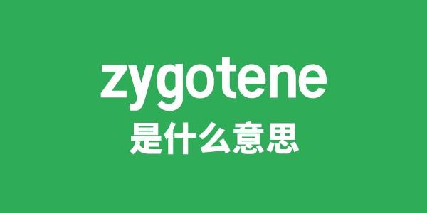 zygotene是甚么意义