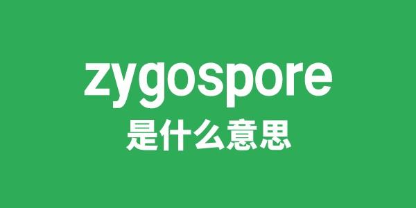 zygospore是甚么意义