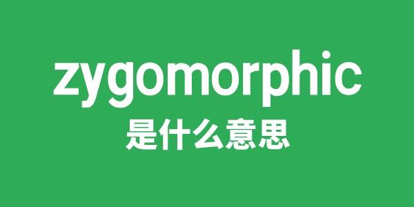 zygomorphic是甚么意义