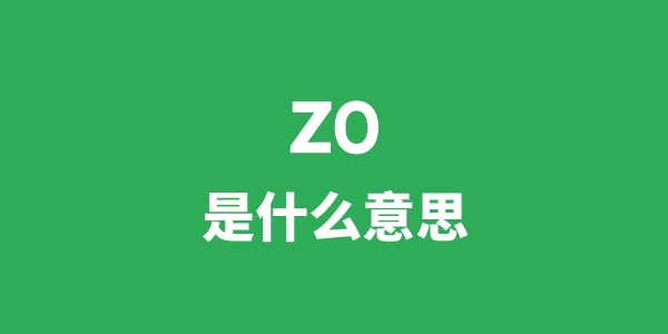 zo是甚么意义