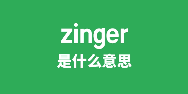 zinger是甚么意义