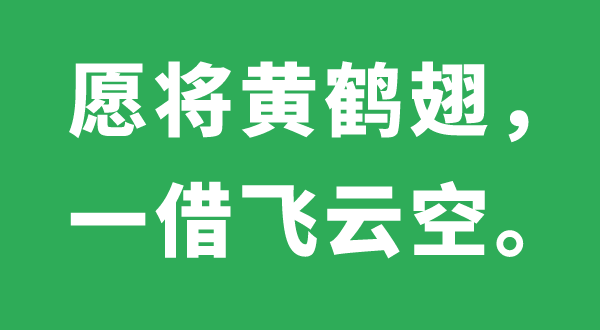 愿将黄鹤翅，一借飞云空的意义是甚么,来由、诠释,黄鹤是甚么鹤
